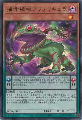 BLZD-JPS13 UR 捕食植物ブフォリキュラ