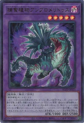 BLZD-JPS15 UR 捕食植物アンブロメリドゥス