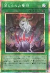 BPRO-JP068 R 幻惑の操手