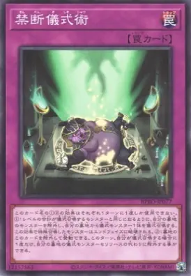 BPRO-JP077 N 禁断儀式術