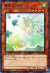 DBPR-JP028 P 裏風の精霊