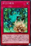 DOOD-JP079 PSE 命王の螺旋