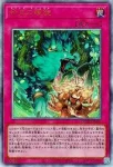 DOOD-JP078 PSE 凶導の聖獣