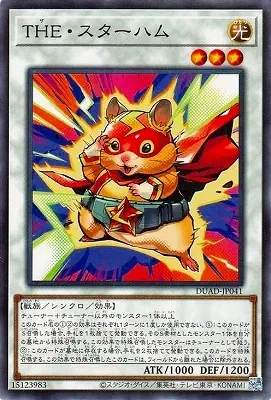 DUAD-JP041 N ＴＨＥ・スターハム