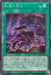 DUAD-JP062 R 叛逆の帝王