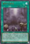 DUAD-JPS19 UR 真帝王領域