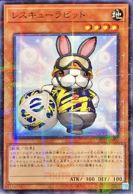 EFC1-JP001 P レスキューラビット