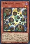 LOCH-JP002 UR 増殖するクリボー！