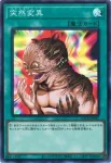 LOCH-JP067 UL 突然変異