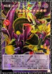 (爆框)LOCR-JP013 PSE 四天の龍 スターヴ・ヴェノム・フュージョン・ドラゴン