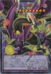 LOCR-JP013 UR 四天の龍 スターヴ・ヴェノム・フュージョン・ドラゴン