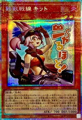LPST-JP016 PSE 鉄獣戦線 キット