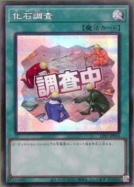 LPST-JP034 SE 化石調査