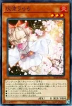 SD48-JP016 N エフェクト・ヴェーラー