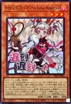 STSP-JP005 PSE 幻惑の見習い魔術師
