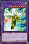 TTP1-JP037 N Ｍ・ＨＥＲＯ ダイアン