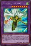 TTP1-JP039 N Ｍ・ＨＥＲＯ アシッド