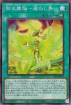 TTP1-JP070 SE 御巫の誘い輪舞