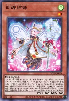 WPP6-JP059 N 胡蝶姉妹