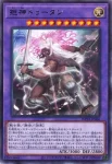 WPP6-JP060 SE 拒神ドゥータン