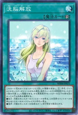 WPP6-JP071 N 洗脳解放
