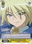 ZM/W03-005 R ルイズ＆シエスタ
