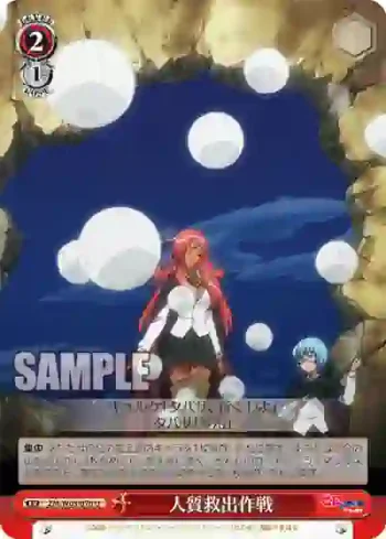 ZM/W03-070 U 人質救出作戦