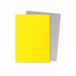 [AT-15071]Dragon Shield 顏色卡套 Yellow & Silver - Matte Dual Sleeves – Standard Size