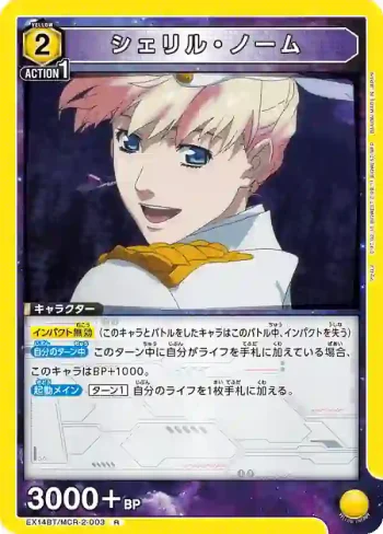 EX14BT/MCR-2-003 R 雪莉·諾姆