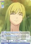 FSF/01B-014 N 英霊事件 セイバー