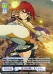 FSF/01B-021 N 誇り高き戦士 真ライダー