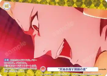 FSF/01B-045CP CP “天地乖離す開闢の星”