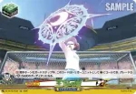 DZ-BT15/EX84 王家の盾