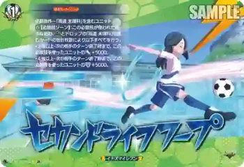 DZ-BT15/IZR51 セカンドライフフープ
