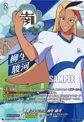DZ-SS17/010R 剛健フィジカル 柳生 駿河