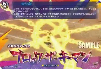 DZ-SS17/012R ブロック・ザ・キーマン