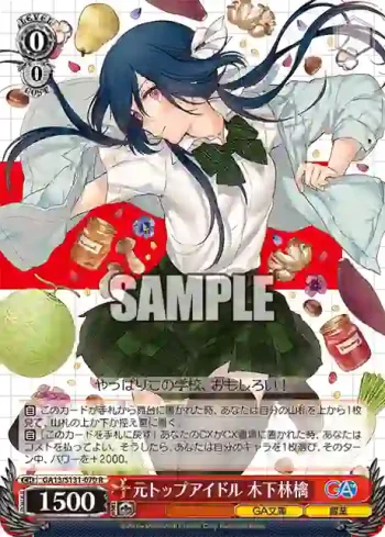 GA13/S131-070 R 元トップアイドル 木下林檎