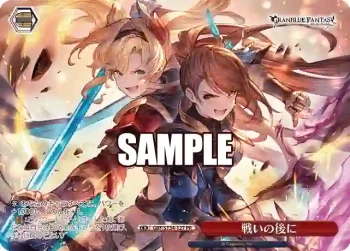 GBF/S134-127 PR 戦いの後に
