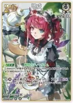 hBP08-013 S IRyS