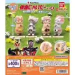 數碼暴龍卡牌 壓克力牌收藏2【GASHAPON】