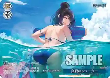 BRD/W139-110 PR 真夏のシューター