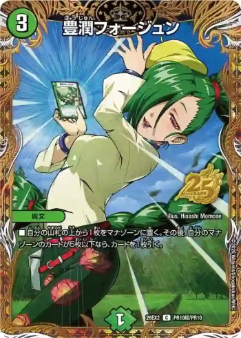 DM26EX2-PR010CHO C 豊潤フォージュン