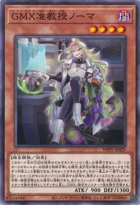 WPP7-JP029 N GMX准教授ノーマ