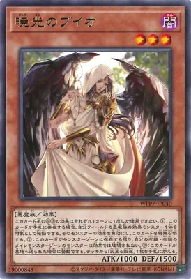 WPP7-JP040 R 暁光のブイオ