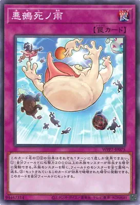WPP7-JP075 N 悪鵺死ノ雨