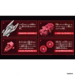巴拉巴騎乘入門套裝 BR-01 風暴獵鷹