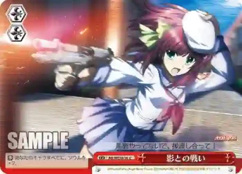 AB/WE10-36 CC 影との戦い