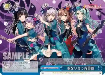 BD/WE31-030 NR 重なり合う青薔薇