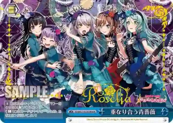 BD/WE31-030BDR BDR 重なり合う青薔薇