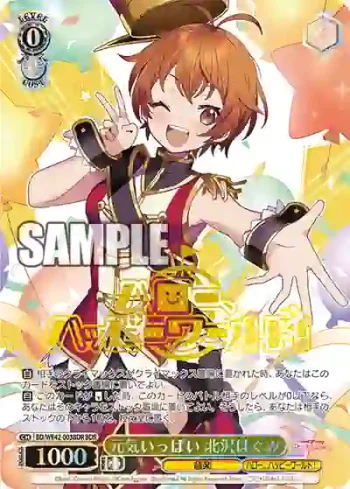BD/WE42-003BDR  元気いっぱい 北沢はぐみ